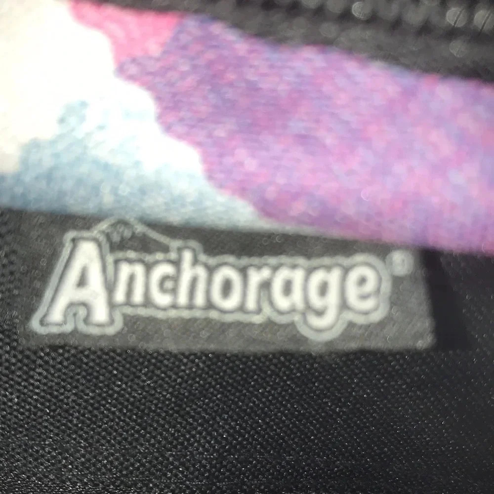 𝅺Anchorage backpack - Picture 3 of 8